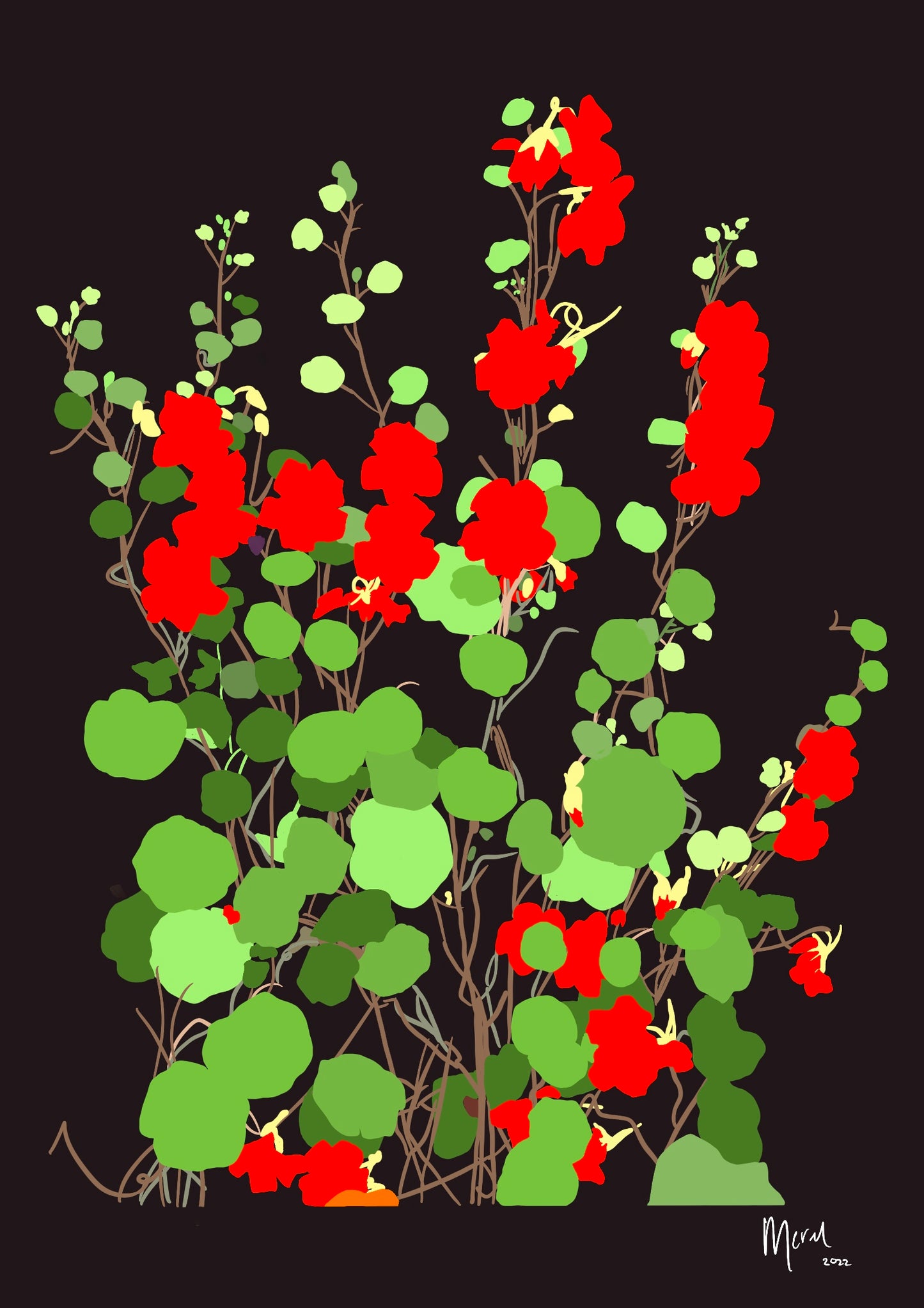 Red flowers on black background